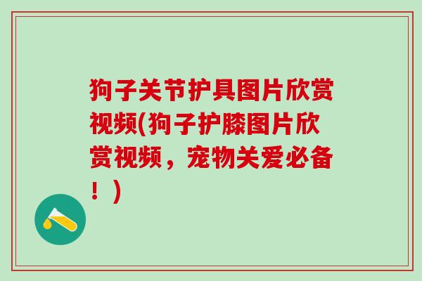 狗子关节护具图片欣赏视频(狗子护膝图片欣赏视频,宠物关爱必备!)-第1张图片-氨糖科普网 狗子关节护具图片欣赏视频(狗子护膝图片欣赏视频,宠物关爱必备!)-第1张图片-氨糖科普网