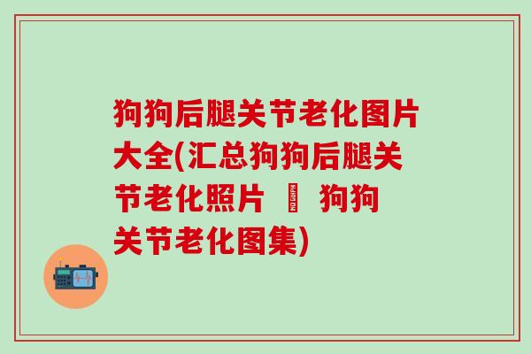 狗狗后腿关节老化图片大全(汇总狗狗后腿关节老化照片 – 狗狗关节老化图集)-第1张图片-氨糖科普网