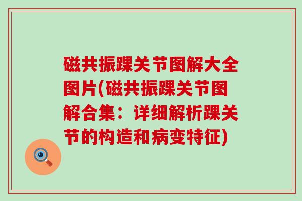 磁共振踝关节图解大全图片(磁共振踝关节图解合集:详细解析踝关节的构造和病变特征)-第1张图片-氨糖科普网 磁共振踝关节图解大全图片(磁共振踝关节图解合集:详细解析踝关节的构造和病变特征)-第1张图片-氨糖科普网