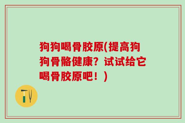 狗狗喝骨胶原(提高狗狗骨骼健康？试试给它喝骨胶原吧！)-第1张图片-氨糖科普网