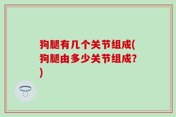 狗腿有几个关节组成(狗腿由多少关节组成?)-第1张图片-氨糖科普网 狗腿有几个关节组成(狗腿由多少关节组成?)-第1张图片-氨糖科普网