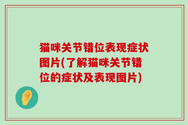 猫咪关节错位表现症状图片(了解猫咪关节错位的症状及表现图片)-第1张图片-氨糖科普网 猫咪关节错位表现症状图片(了解猫咪关节错位的症状及表现图片)-第1张图片-氨糖科普网