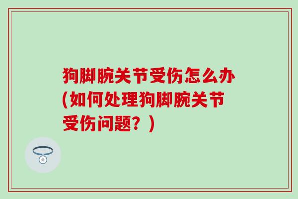 狗脚腕关节受伤怎么办(如何处理狗脚腕关节受伤问题?)-第1张图片-氨糖科普网 狗脚腕关节受伤怎么办(如何处理狗脚腕关节受伤问题?)-第1张图片-氨糖科普网