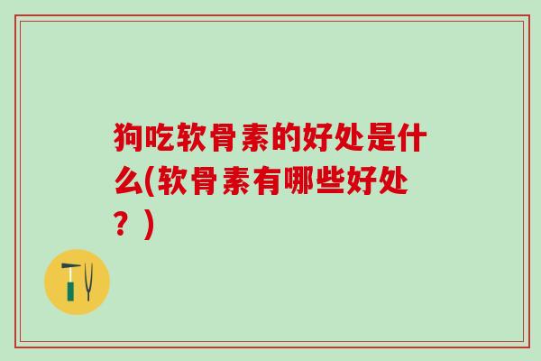 狗吃软骨素的好处是什么(软骨素有哪些好处?)-第1张图片-氨糖科普网 狗吃软骨素的好处是什么(软骨素有哪些好处?)-第1张图片-氨糖科普网