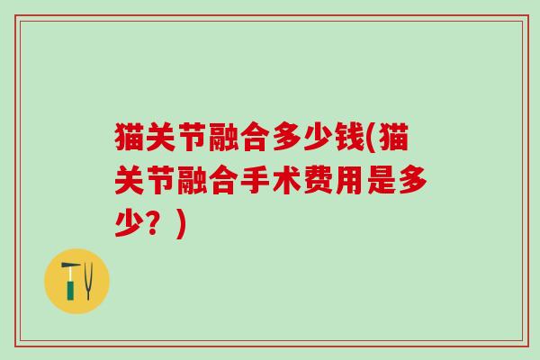 猫关节融合多少钱(猫关节融合手术费用是多少?)-第1张图片-氨糖科普网 猫关节融合多少钱(猫关节融合手术费用是多少?)-第1张图片-氨糖科普网