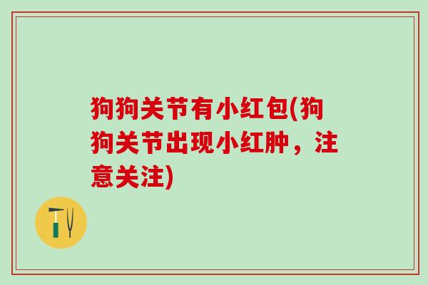 狗狗关节有小红包(狗狗关节出现小红肿,注意关注)-第1张图片-氨糖科普网 狗狗关节有小红包(狗狗关节出现小红肿,注意关注)-第1张图片-氨糖科普网