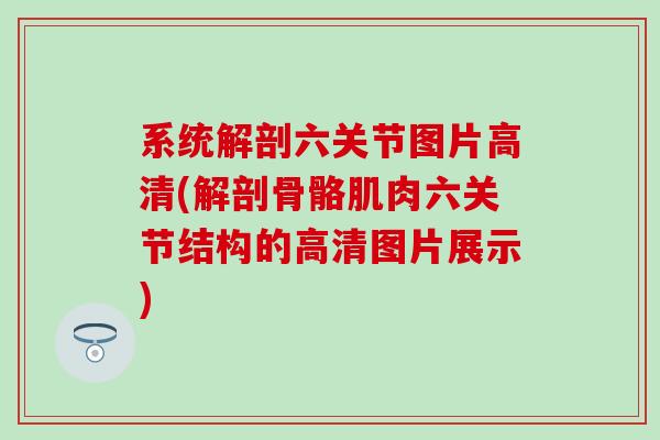 系统解剖六关节图片高清(解剖骨骼肌肉六关节结构的高清图片展示)-第1张图片-氨糖科普网