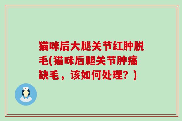 猫咪后大腿关节红肿脱毛(猫咪后腿关节肿痛缺毛,该如何处理?)-第1张图片-氨糖科普网 猫咪后大腿关节红肿脱毛(猫咪后腿关节肿痛缺毛,该如何处理?)-第1张图片-氨糖科普网