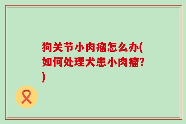 狗关节小肉瘤怎么办(如何处理犬患小肉瘤?)-第1张图片-氨糖科普网 狗关节小肉瘤怎么办(如何处理犬患小肉瘤?)-第1张图片-氨糖科普网