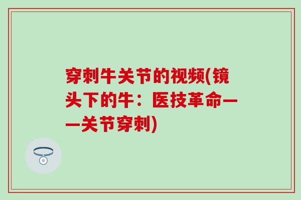 穿刺牛关节的视频(镜头下的牛：医技革命——关节穿刺)-第1张图片-氨糖科普网