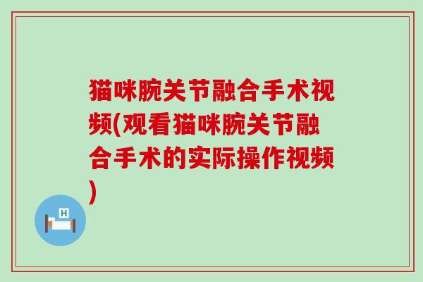 猫咪腕关节融合手术视频(观看猫咪腕关节融合手术的实际操作视频)-第1张图片-氨糖科普网 猫咪腕关节融合手术视频(观看猫咪腕关节融合手术的实际操作视频)-第1张图片-氨糖科普网