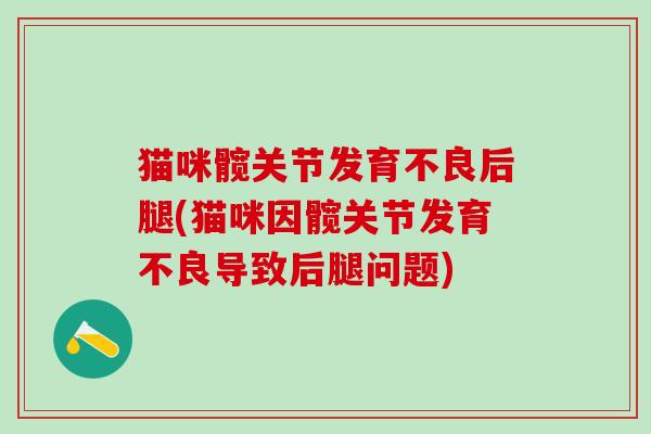 猫咪髋关节发育不良后腿(猫咪因髋关节发育不良导致后腿问题)-第1张图片-氨糖科普网 猫咪髋关节发育不良后腿(猫咪因髋关节发育不良导致后腿问题)-第1张图片-氨糖科普网