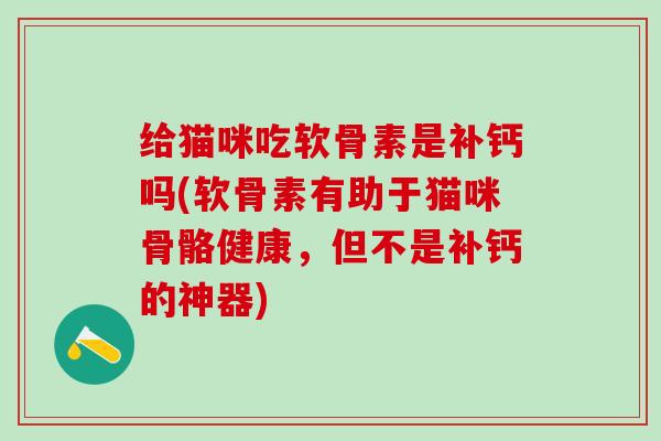 给猫咪吃软骨素是补钙吗(软骨素有助于猫咪骨骼健康,但不是补钙的神器)-第1张图片-氨糖科普网 给猫咪吃软骨素是补钙吗(软骨素有助于猫咪骨骼健康,但不是补钙的神器)-第1张图片-氨糖科普网