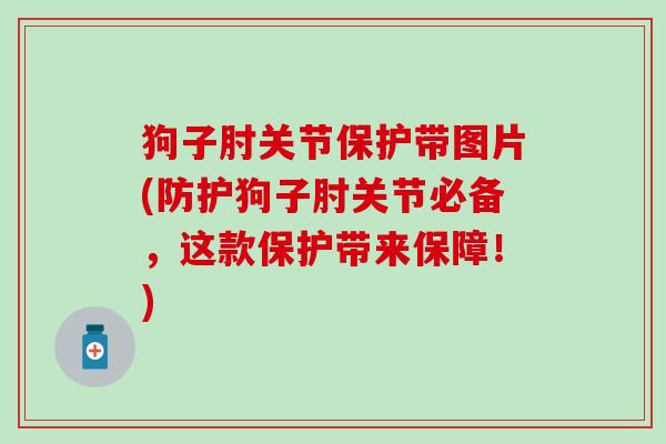 狗子肘关节保护带图片(防护狗子肘关节必备,这款保护带来保障!)-第1张图片-氨糖科普网 狗子肘关节保护带图片(防护狗子肘关节必备,这款保护带来保障!)-第1张图片-氨糖科普网