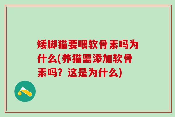 矮脚猫要喂软骨素吗为什么(养猫需添加软骨素吗？这是为什么)-第1张图片-氨糖科普网