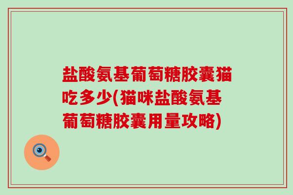 盐酸氨基葡萄糖胶囊猫吃多少(猫咪盐酸氨基葡萄糖胶囊用量攻略)-第1张图片-氨糖科普网