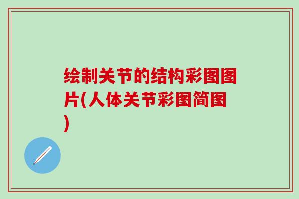 绘制关节的结构彩图图片(人体关节彩图简图)-第1张图片-氨糖科普网