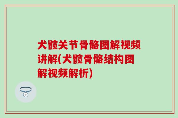 犬髋关节骨骼图解视频讲解(犬髋骨骼结构图解视频解析)-第1张图片-氨糖科普网 犬髋关节骨骼图解视频讲解(犬髋骨骼结构图解视频解析)-第1张图片-氨糖科普网