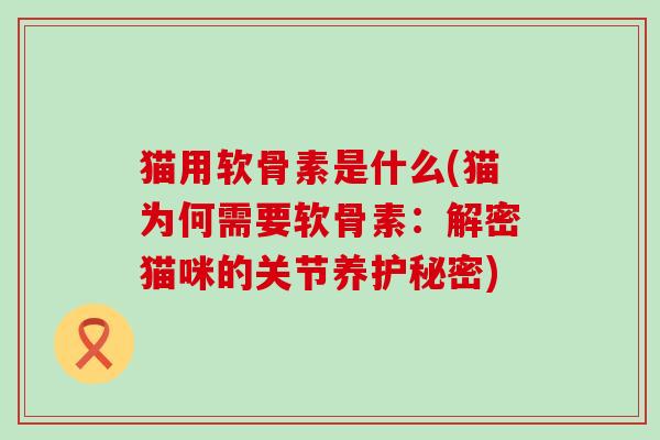 猫用软骨素是什么(猫为何需要软骨素：解密猫咪的关节养护秘密)-第1张图片-氨糖科普网
