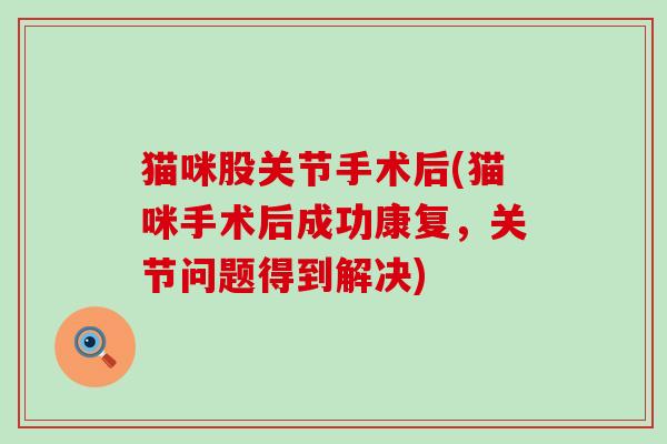 猫咪股关节手术后(猫咪手术后成功康复,关节问题得到解决)-第1张图片-氨糖科普网 猫咪股关节手术后(猫咪手术后成功康复,关节问题得到解决)-第1张图片-氨糖科普网