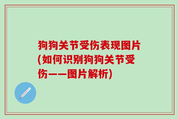 狗狗关节受伤表现图片(如何识别狗狗关节受伤——图片解析)-第1张图片-氨糖科普网 狗狗关节受伤表现图片(如何识别狗狗关节受伤——图片解析)-第1张图片-氨糖科普网
