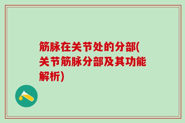 筋脉在关节处的分部(关节筋脉分部及其功能解析)-第1张图片-氨糖科普网 筋脉在关节处的分部(关节筋脉分部及其功能解析)-第1张图片-氨糖科普网