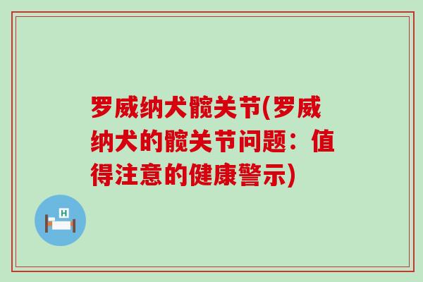 罗威纳犬髋关节(罗威纳犬的髋关节问题:值得注意的健康警示)-第1张图片-氨糖科普网 罗威纳犬髋关节(罗威纳犬的髋关节问题:值得注意的健康警示)-第1张图片-氨糖科普网