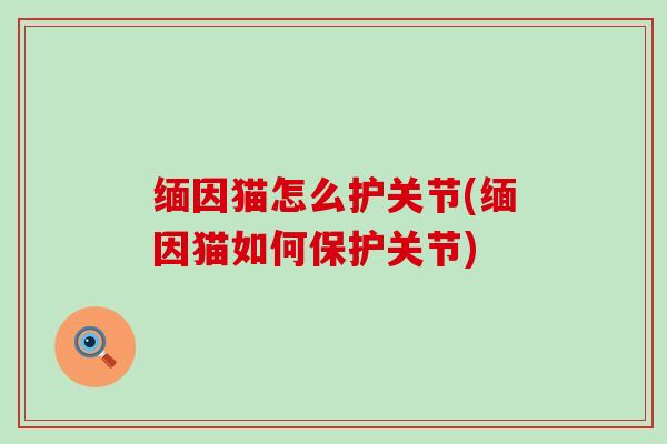 缅因猫怎么护关节(缅因猫如何保护关节)-第1张图片-氨糖科普网 缅因猫怎么护关节(缅因猫如何保护关节)-第1张图片-氨糖科普网