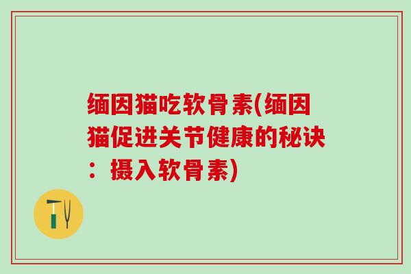 缅因猫吃软骨素(缅因猫促进关节健康的秘诀:摄入软骨素)-第1张图片-氨糖科普网 缅因猫吃软骨素(缅因猫促进关节健康的秘诀:摄入软骨素)-第1张图片-氨糖科普网