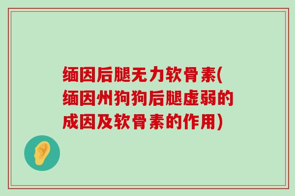 缅因后腿无力软骨素(缅因州狗狗后腿虚弱的成因及软骨素的作用)-第1张图片-氨糖科普网 缅因后腿无力软骨素(缅因州狗狗后腿虚弱的成因及软骨素的作用)-第1张图片-氨糖科普网