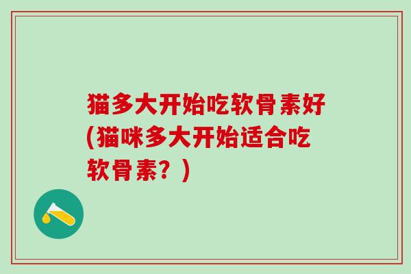 猫多大开始吃软骨素好(猫咪多大开始适合吃软骨素?)-第1张图片-氨糖科普网 猫多大开始吃软骨素好(猫咪多大开始适合吃软骨素?)-第1张图片-氨糖科普网