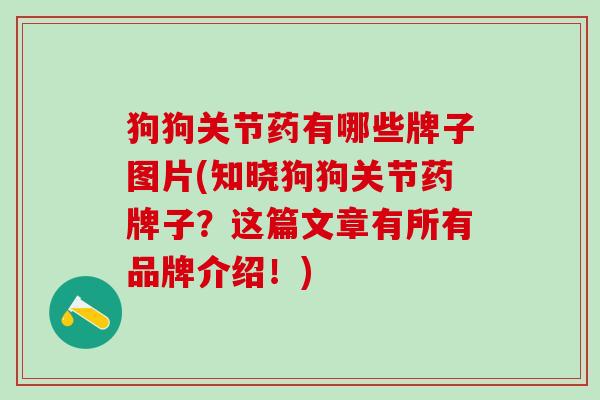 狗狗关节药有哪些牌子图片(知晓狗狗关节药牌子?这篇文章有所有品牌介绍!)-第1张图片-氨糖科普网 狗狗关节药有哪些牌子图片(知晓狗狗关节药牌子?这篇文章有所有品牌介绍!)-第1张图片-氨糖科普网