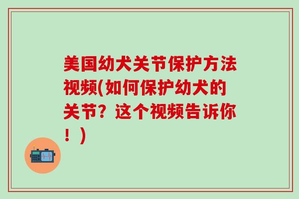 美国幼犬关节保护方法视频(如何保护幼犬的关节？这个视频告诉你！)-第1张图片-氨糖科普网