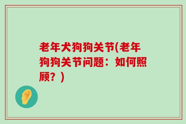 老年犬狗狗关节(老年狗狗关节问题:如何照顾?)-第1张图片-氨糖科普网 老年犬狗狗关节(老年狗狗关节问题:如何照顾?)-第1张图片-氨糖科普网