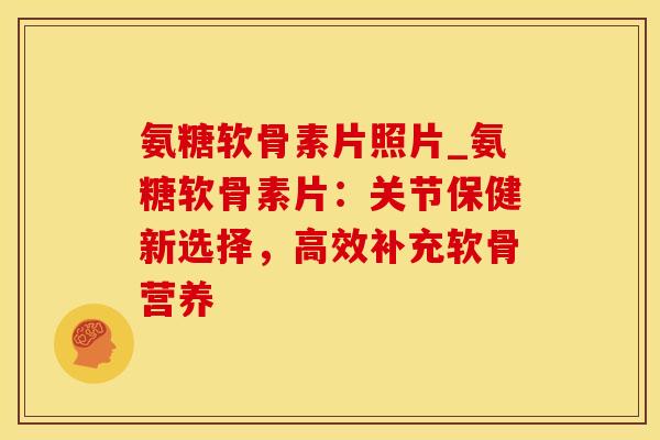 氨糖软骨素片照片_氨糖软骨素片:关节保健新选择,高效补充软骨营养-第1张图片-氨糖科普网 氨糖软骨素片照片_氨糖软骨素片:关节保健新选择,高效补充软骨营养-第1张图片-氨糖科普网