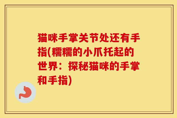 猫咪手掌关节处还有手指(糯糯的小爪托起的世界:探秘猫咪的手掌和手指)-第1张图片-氨糖科普网 猫咪手掌关节处还有手指(糯糯的小爪托起的世界:探秘猫咪的手掌和手指)-第1张图片-氨糖科普网