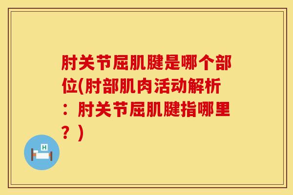 肘关节屈肌腱是哪个部位(肘部肌肉活动解析:肘关节屈肌腱指哪里?)-第1张图片-氨糖科普网 肘关节屈肌腱是哪个部位(肘部肌肉活动解析:肘关节屈肌腱指哪里?)-第1张图片-氨糖科普网