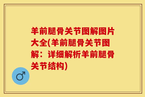 羊前腿骨关节图解图片大全(羊前腿骨关节图解:详细解析羊前腿骨关节结构)-第1张图片-氨糖科普网 羊前腿骨关节图解图片大全(羊前腿骨关节图解:详细解析羊前腿骨关节结构)-第1张图片-氨糖科普网
