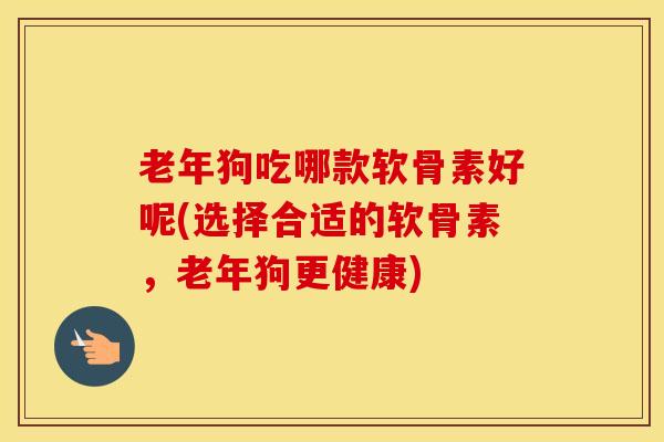 老年狗吃哪款软骨素好呢(选择合适的软骨素,老年狗更健康)-第1张图片-氨糖科普网 老年狗吃哪款软骨素好呢(选择合适的软骨素,老年狗更健康)-第1张图片-氨糖科普网