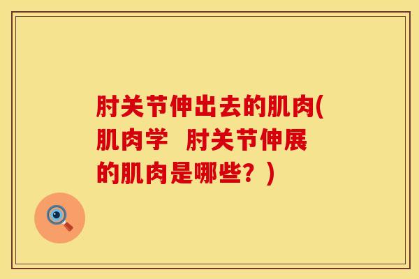 肘关节伸出去的肌肉(肌肉学  肘关节伸展的肌肉是哪些？)-第1张图片-氨糖科普网