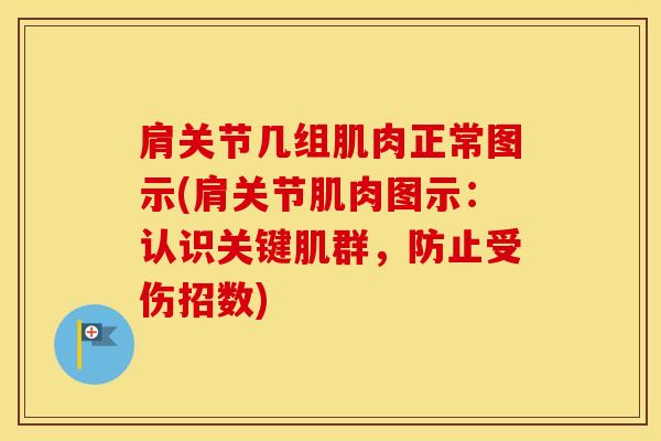 肩关节几组肌肉正常图示(肩关节肌肉图示：认识关键肌群，防止受伤招数)-第1张图片-氨糖科普网
