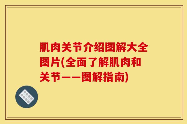 肌肉关节介绍图解大全图片(全面了解肌肉和关节——图解指南)-第1张图片-氨糖科普网