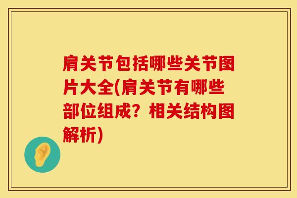 肩关节包括哪些关节图片大全(肩关节有哪些部位组成?相关结构图解析)-第1张图片-氨糖科普网 肩关节包括哪些关节图片大全(肩关节有哪些部位组成?相关结构图解析)-第1张图片-氨糖科普网
