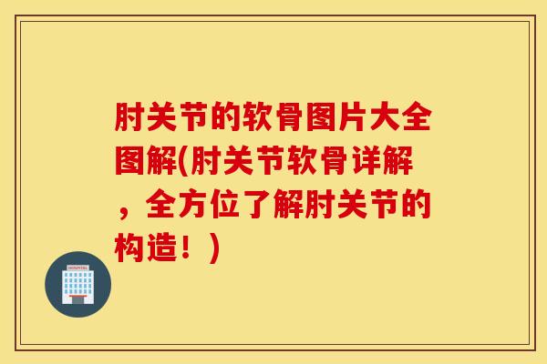 肘关节的软骨图片大全图解(肘关节软骨详解，全方位了解肘关节的构造！)-第1张图片-氨糖科普网