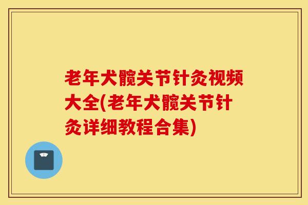 老年犬髋关节针灸视频大全(老年犬髋关节针灸详细教程合集)-第1张图片-氨糖科普网 老年犬髋关节针灸视频大全(老年犬髋关节针灸详细教程合集)-第1张图片-氨糖科普网