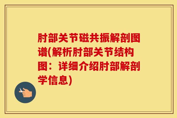 肘部关节磁共振解剖图谱(解析肘部关节结构图:详细介绍肘部解剖学信息)-第1张图片-氨糖科普网 肘部关节磁共振解剖图谱(解析肘部关节结构图:详细介绍肘部解剖学信息)-第1张图片-氨糖科普网
