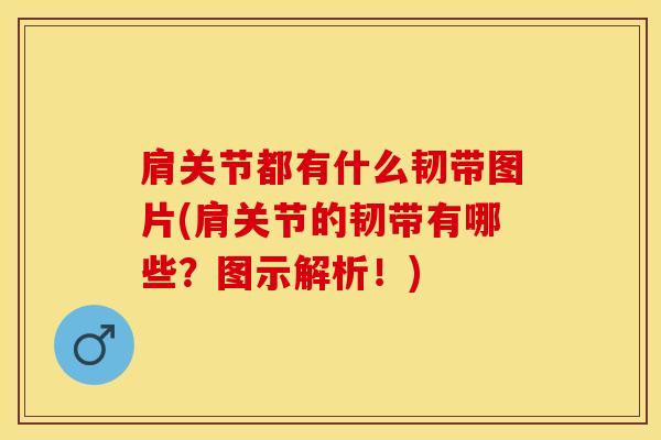 肩关节都有什么韧带图片(肩关节的韧带有哪些？图示解析！)-第1张图片-氨糖科普网
