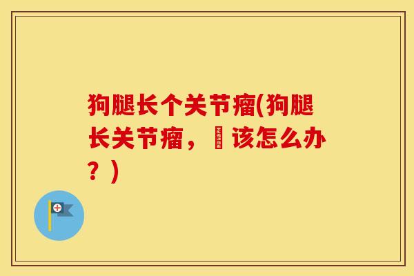 狗腿长个关节瘤(狗腿长关节瘤，牠该怎么办？)-第1张图片-氨糖科普网
