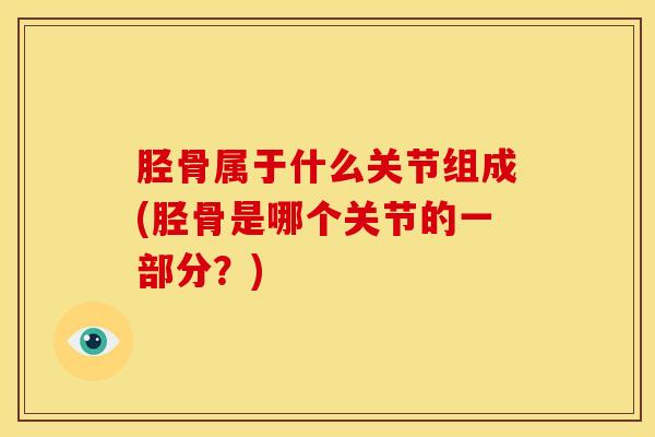 胫骨属于什么关节组成(胫骨是哪个关节的一部分?)-第1张图片-氨糖科普网 胫骨属于什么关节组成(胫骨是哪个关节的一部分?)-第1张图片-氨糖科普网