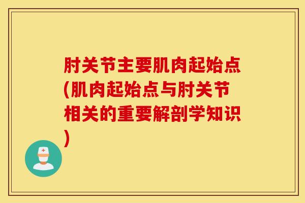 肘关节主要肌肉起始点(肌肉起始点与肘关节相关的重要解剖学知识)-第1张图片-氨糖科普网 肘关节主要肌肉起始点(肌肉起始点与肘关节相关的重要解剖学知识)-第1张图片-氨糖科普网